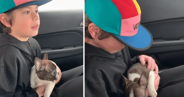 Boy Receives A Puppy As A Gift From His Late Dad