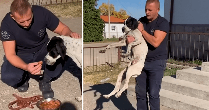 Kind Man Rescues Abandoned Dog At A School