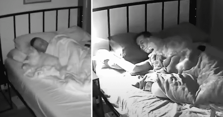 Playful Cat Gets Caught On Camera Snoozing Dad’s Alarm