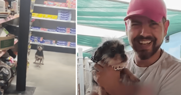 Stray Dog Found In Dollar General Finds Forever Home