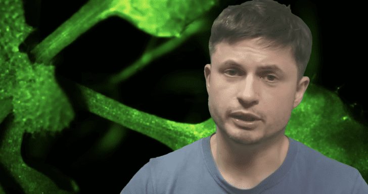 Researchers Observe How Plants “Talk” To Each Other